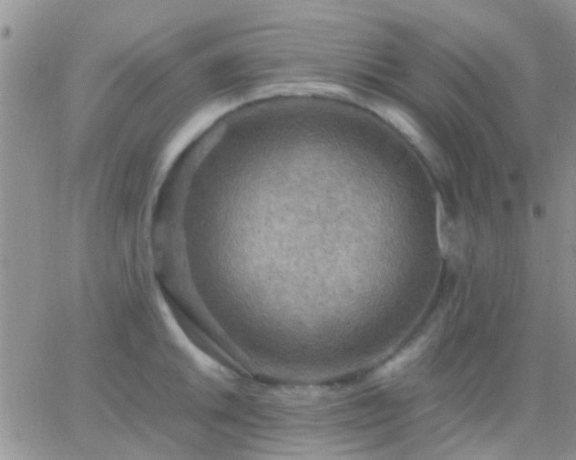 X0000065241046200602242020