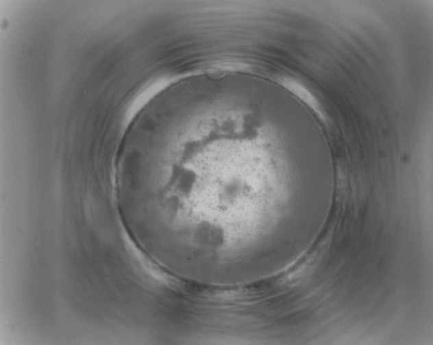 X0000065241047200602242020