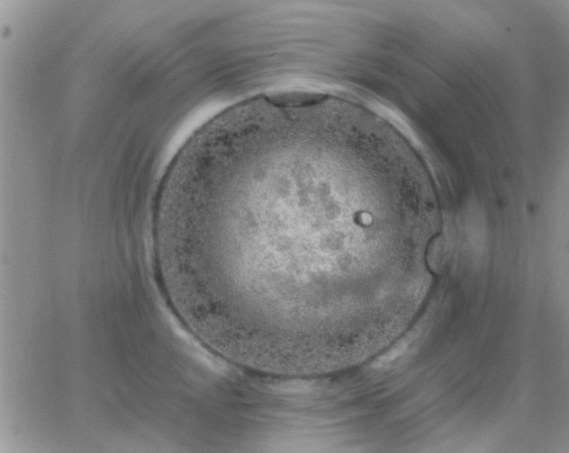 X0000065241048200602242020