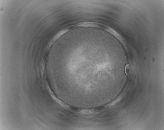 X0000065241049200602242020