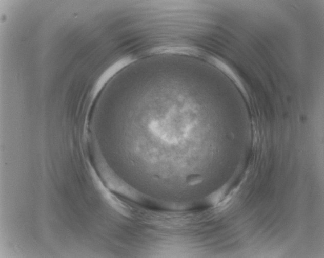 X0000065241050200602242020