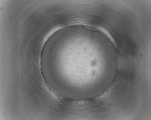 X0000065241051200602242020