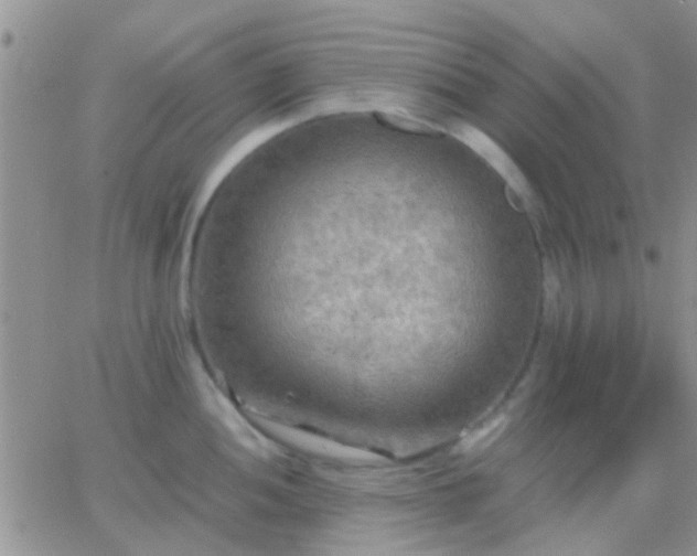 X0000065241052200602242020