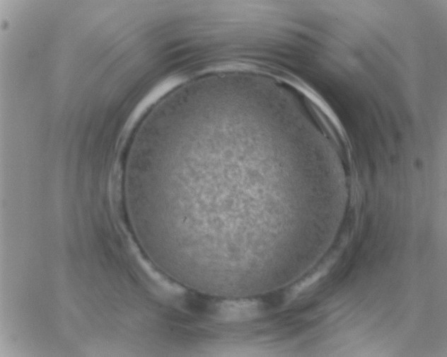 X0000065241053200602242020