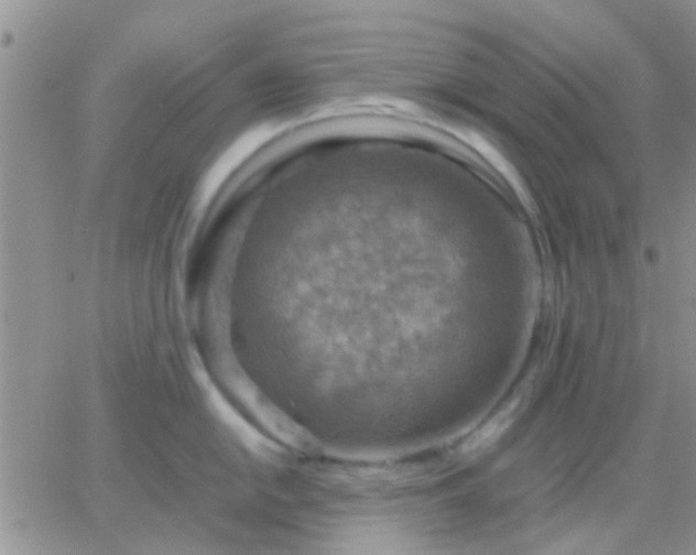 X0000065241054200602242020