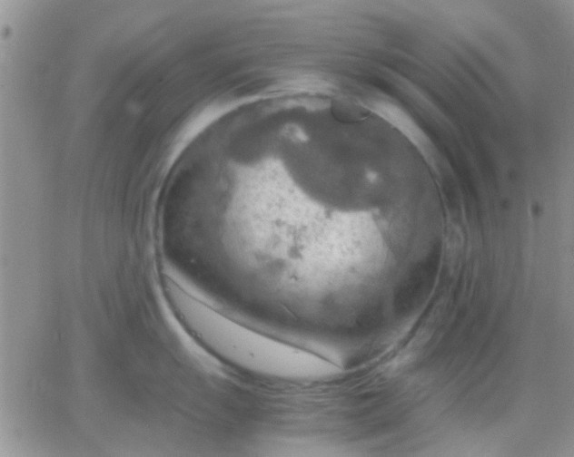 X0000065241055200602242020