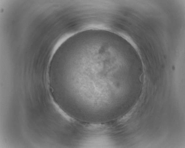 X0000065241056200602242020