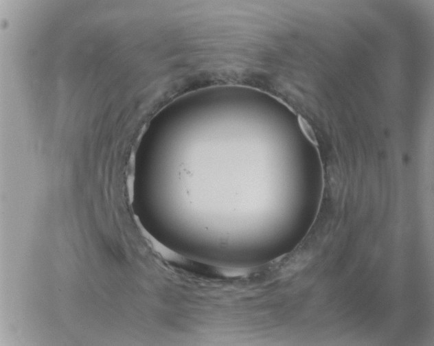 X0000065241057200602242019