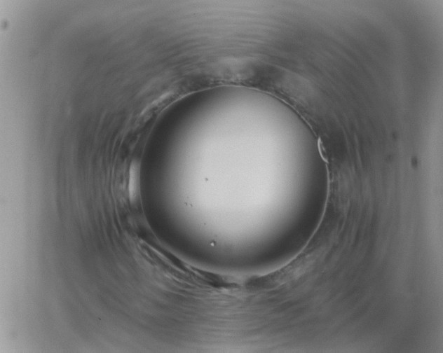 X0000065241058200602242019