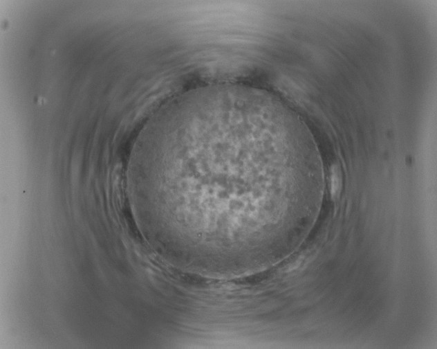 X0000065241059200602242019