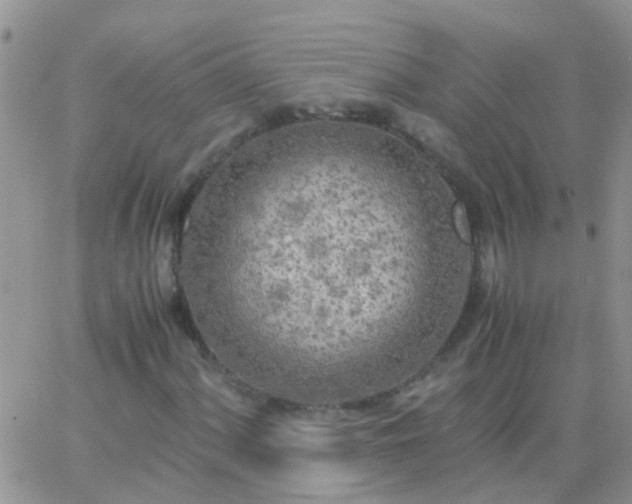 X0000065241060200602242019