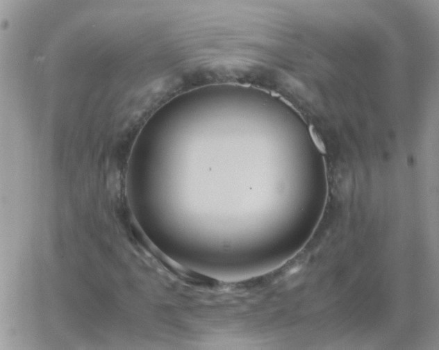 X0000065241061200602242019