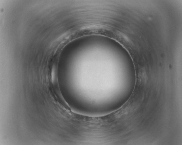 X0000065241062200602242019