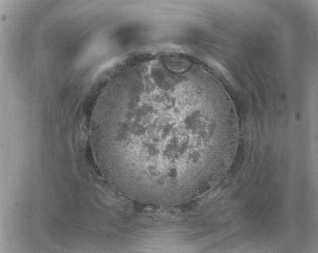 X0000065241063200602242019