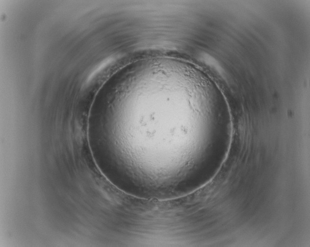 X0000065241064200602242019