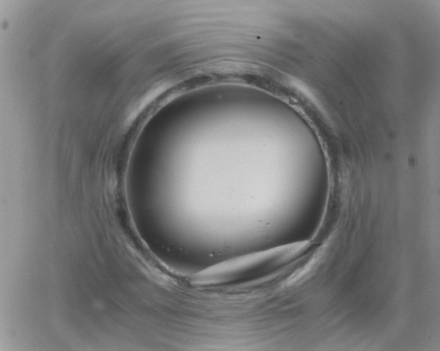 X0000065241065200602242019