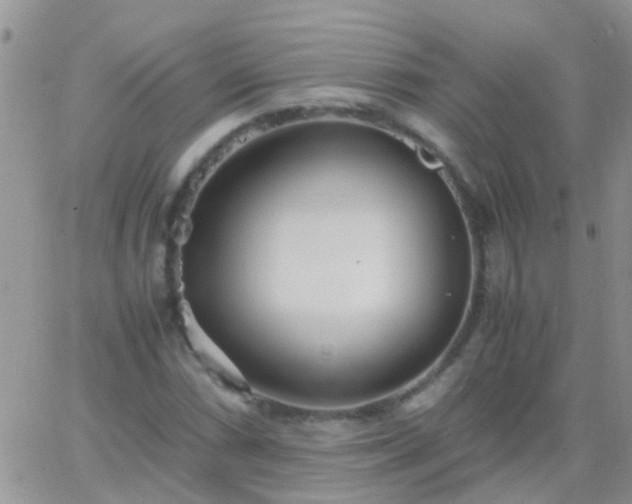 X0000065241066200602242019