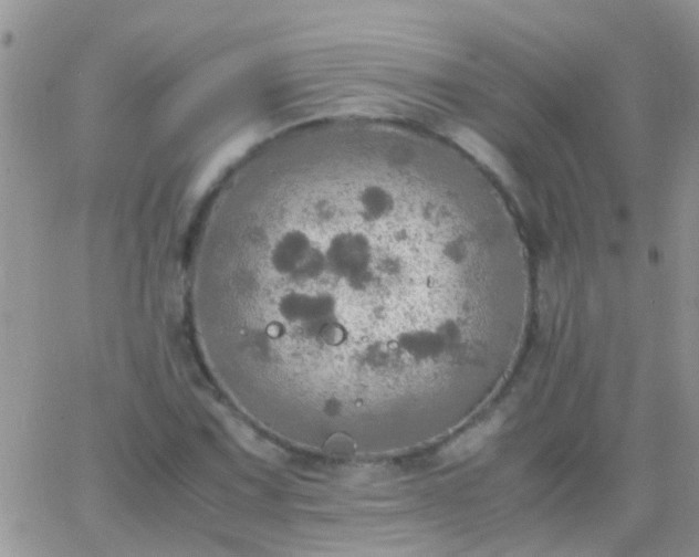 X0000065241067200602242019