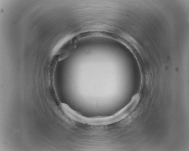 X0000065241069200602242019