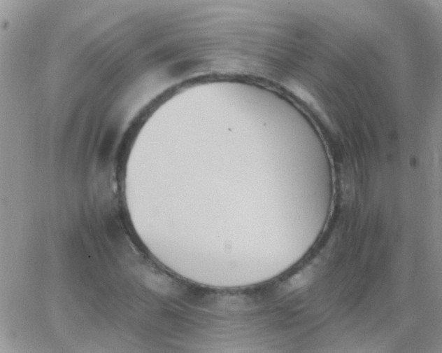 X0000065241070200602242019