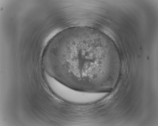 X0000065241071200602242019