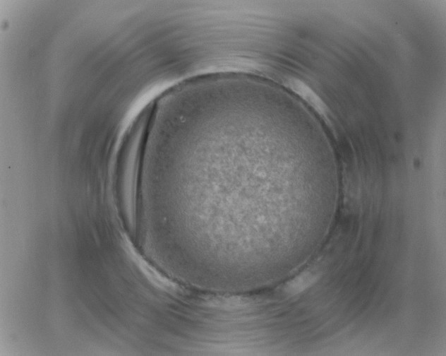 X0000065241072200602242019