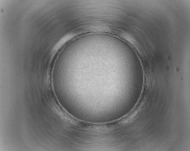 X0000065241074200602242019