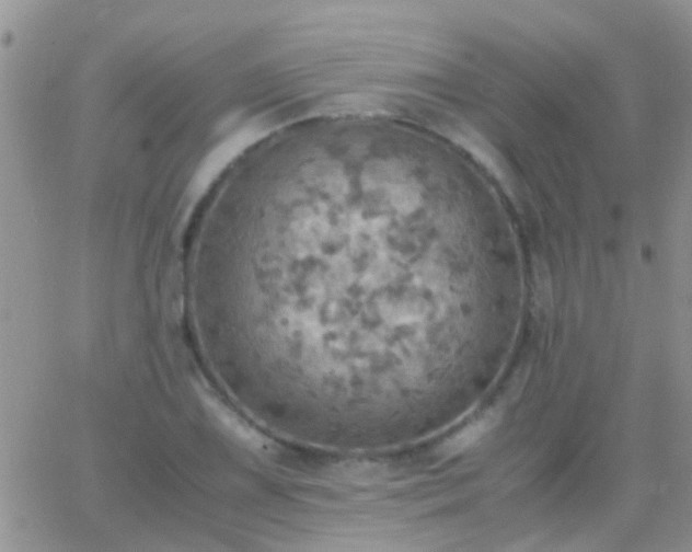 X0000065241075200602242019