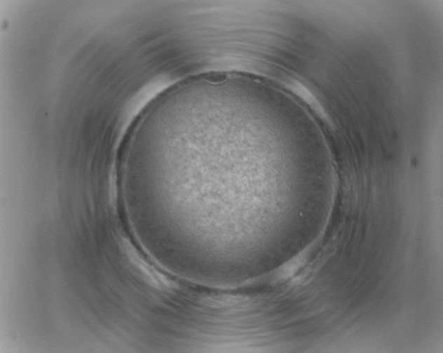 X0000065241076200602242019