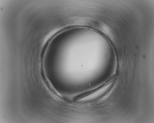 X0000065241077200602242019