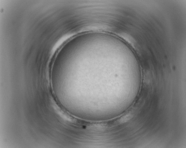 X0000065241078200602242019