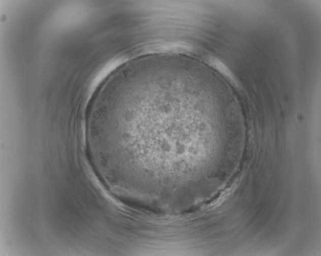 X0000065241079200602242019