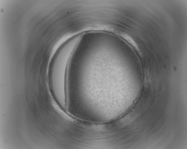 X0000065241080200602242019