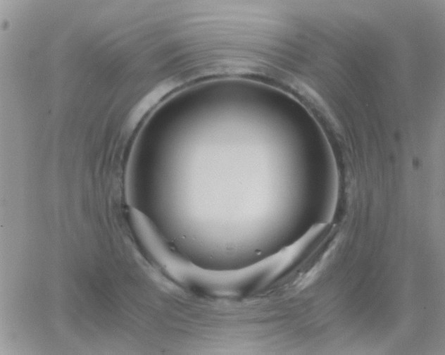 X0000065241081200602242019