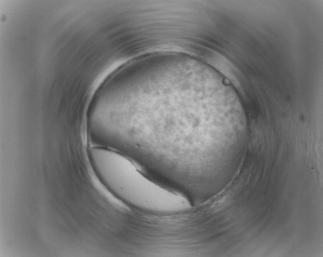 X0000065241084200602242018