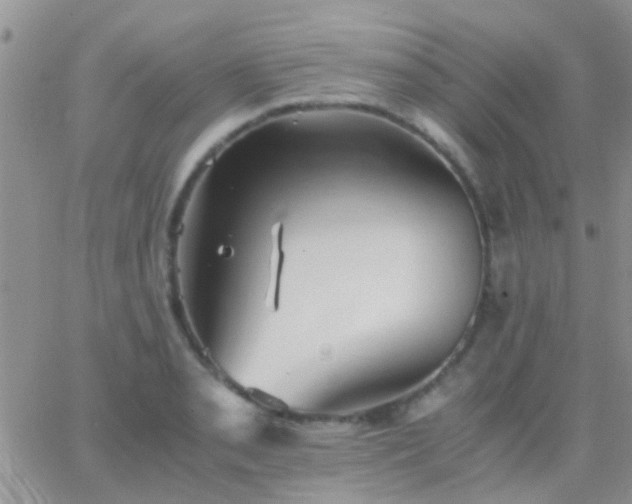 X0000065241085200602242018