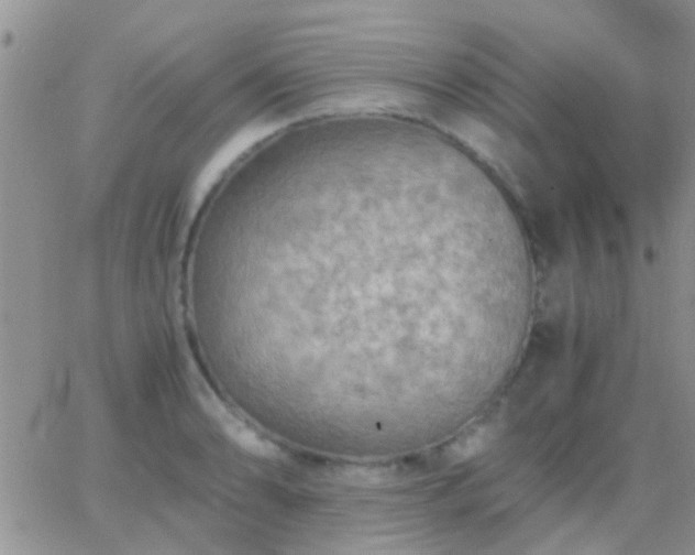 X0000065241086200602242018