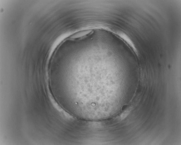 X0000065241088200602242018