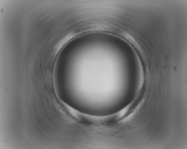 X0000065241089200602242018