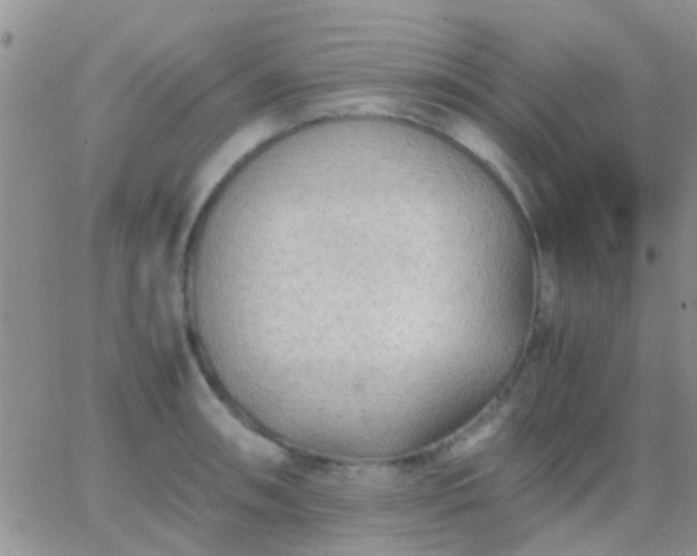 X0000065241090200602242018