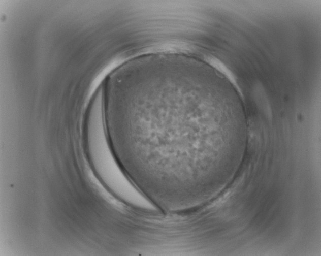 X0000065241091200602242018