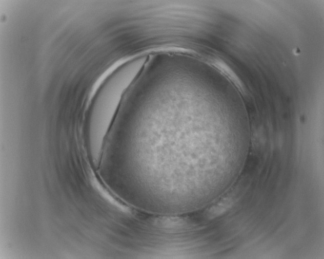 X0000065241092200602242018