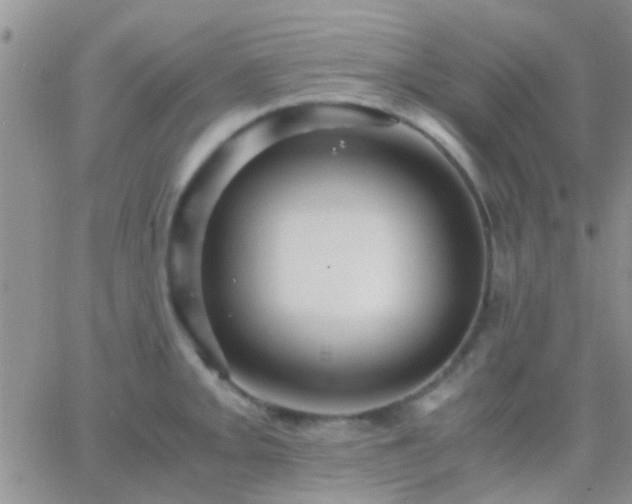 X0000065241093200602242018