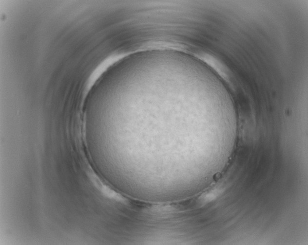 X0000065241094200602242018