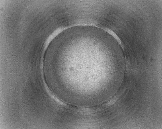 X0000065241096200602242018