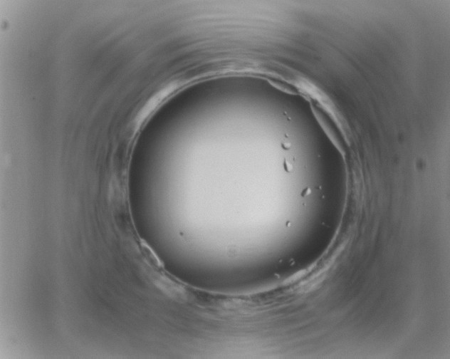 X0000065241097200602242018