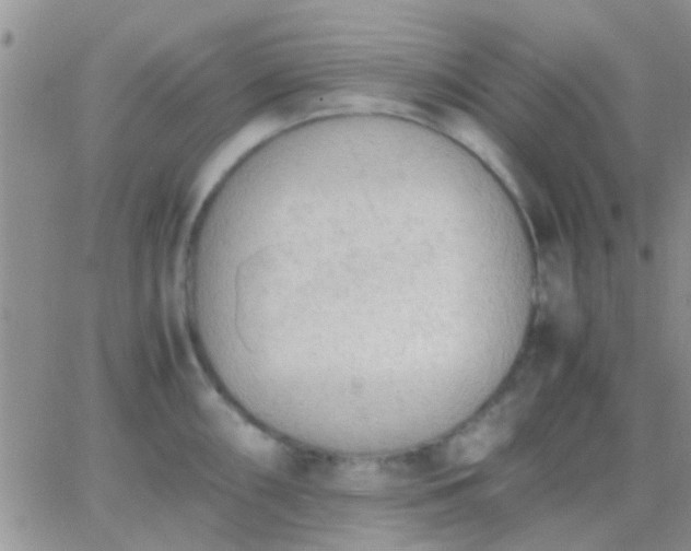 X0000065241098200602242018