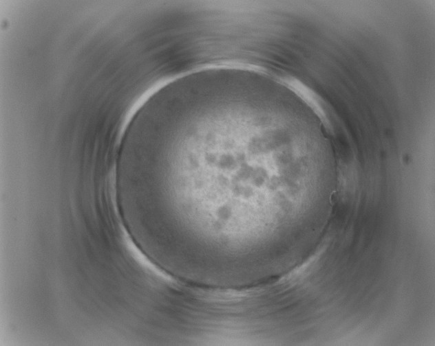 X0000065241100200602242018