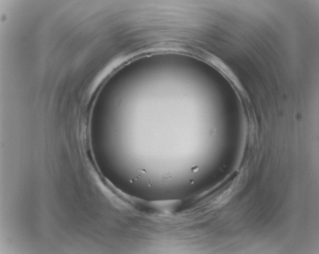 X0000065241101200602242018