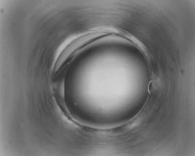 X0000065241102200602242018